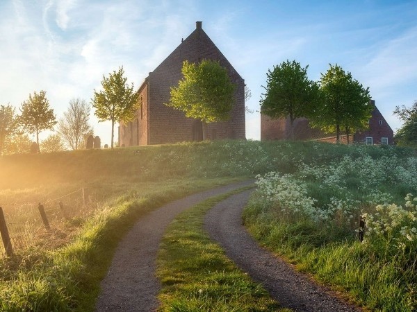 魔域神兽阶位有什么用 魔域神兽阶位作用全解析