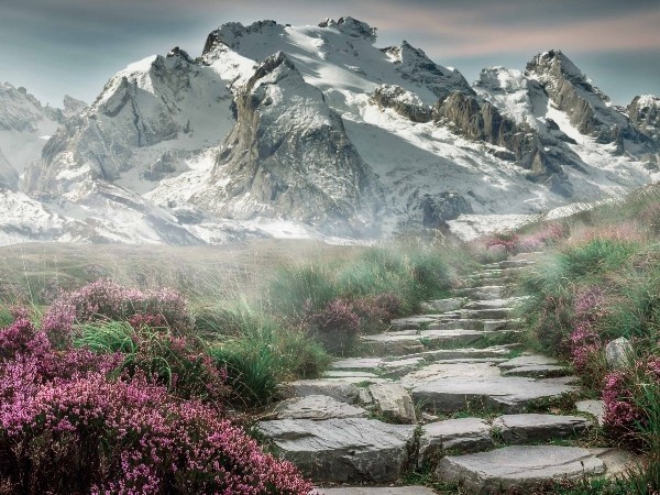 魔域永恒魔魂属性　魔域·经典魔魂系统